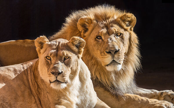 Hubert and Kalisa
